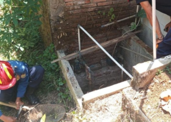 Cium Bau Amis dari Sumur, Warga Ciamis Dikejutkan Kobra Jawa Sepanjang 1 Meter