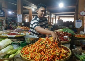 Harga Pangan 22 September 2026: Beras Stabil, Cabai Rawit Merah Tembus Rp95 Ribu per Kg