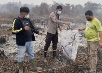 Video Pembakaran Lahan Viral, Anggota DPRD Mempawah Kini Jadi Sorotan Penegakan Hukum