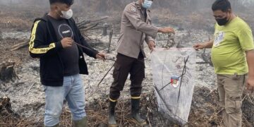 Video Pembakaran Lahan Viral, Anggota DPRD Mempawah Kini Jadi Sorotan Penegakan Hukum