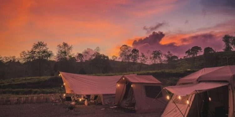 Healing di Tengah Kabut Ciwidey! Rengganis Campsite Jadi Destinasi Camping Favorit Wisatawan