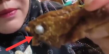 Geger! Benda Diduga Peluru Ditemukan dalam Daging Menu MBG Siswa SD, Dapur Disetop