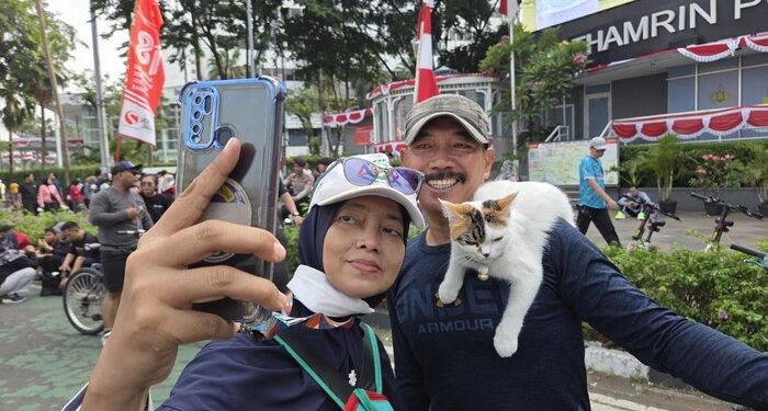 Bukan Artis, Kucing Telon Justru Jadi Pusat Perhatian di CFD Bundaran HI