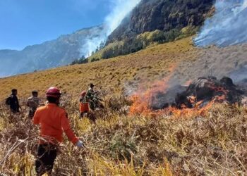 Kebakaran Gunung Bromo Kembali Meluas, Api Merembet ke Arah Bukit Teletubbies